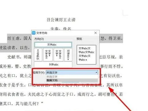 将WPS中的文字变得非常大 | 在WPS文字里把字变成最大