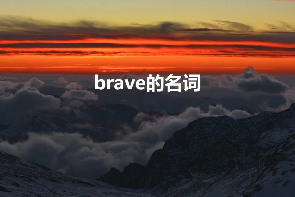 brave的名词 | brave是什么中文意