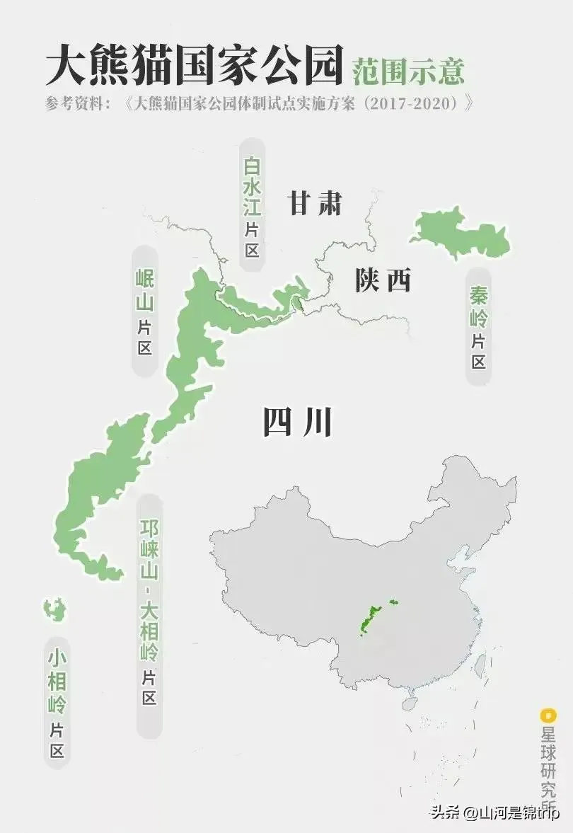 中国熊猫基地在哪里 | 国内几个最值得去的大熊猫基地