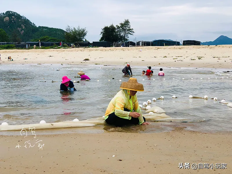 惠州最美十大海滩排名(国内最适合