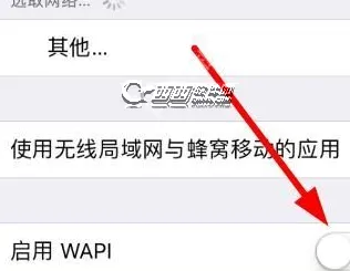 wapi是什么意思?苹果手机wapi有什么用?要开启吗