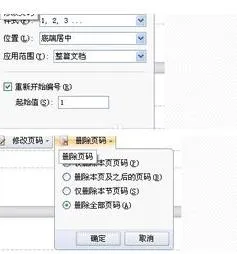 wps插入特定页码 | wps从指定页开始编页码