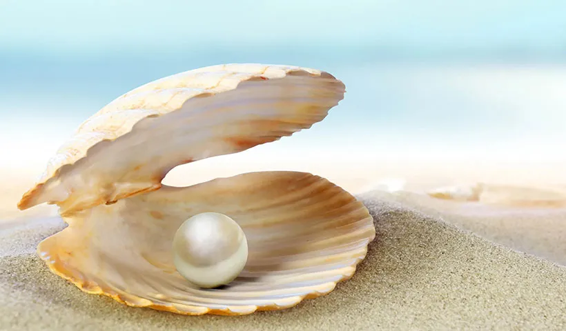 珍珠是怎么形成的 | 天然珍珠的形成过程详细介绍