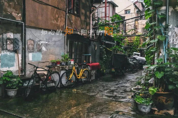 四川的耙耳朵是什么意思 | 川渝地区耙耳朵一词的由来