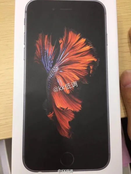 iPhone 6s包装盒及报价曝光