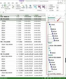 wps甘特图显示任务名称 | project在甘特图下面加备注