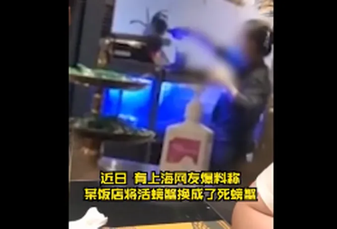 网曝上海静安嘉里中心一饭店用死螃蟹掉包活螃蟹，涉事饭店回应了