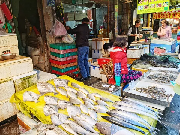 菜市场、海鲜、生鲜 (2)_副本