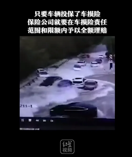 大潮全责！7辆车因钱塘江潮水漫堤受损获赔，有监控视频证明