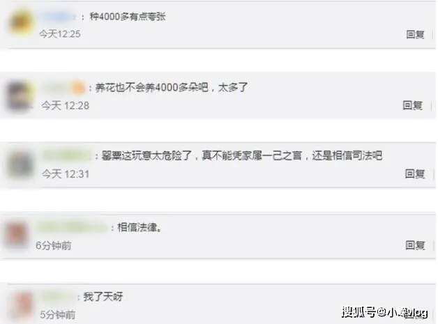 75岁老太误种罂粟被判5年什么情况？家属坦言直到被抓才知不是花