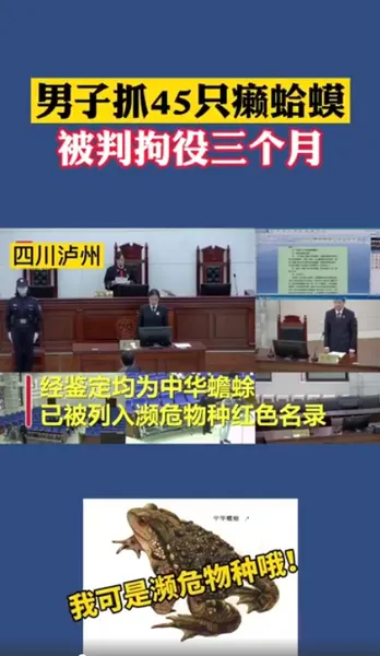 男子抓45只癞蛤蟆被判拘役三个月什么情况？禁猎区禁猎期非法捕捉