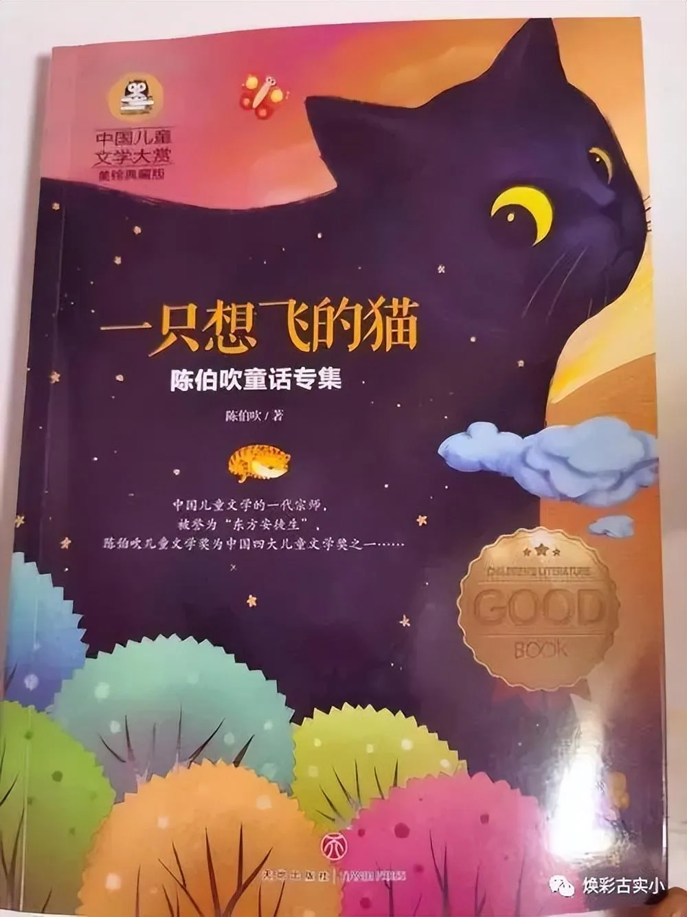 一只想飞的猫作者是谁(这本书里面讲了什么)