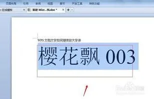 wps字体整体放大 | wps文字放大wps放大文字图文教程