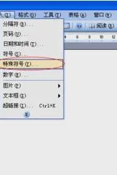 wps里设置字母声调 | 在WPS中加汉语拼音声调