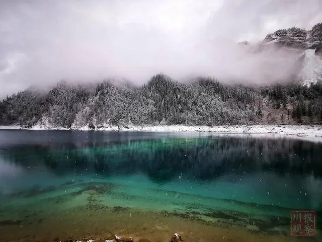 怎么能美成这样？九寨沟连续三天下雪