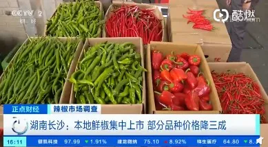湖南人年均消费辣椒100斤