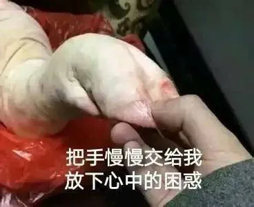 如果有个白胡子老爷爷把你敲晕是什么梗?土味情话白胡子老爷爷全文