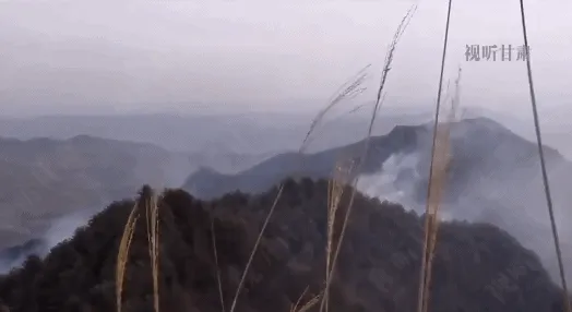 甘肃陇南发生森林火灾 所幸无人员伤亡