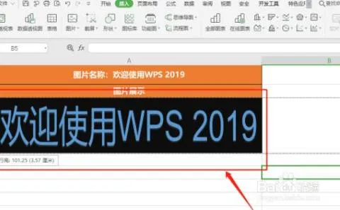 wps改变的尺寸 | WPS中想放入改变大小啊