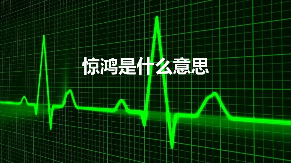 惊鸿是什么意思 | 惊鸿代表是什么意思