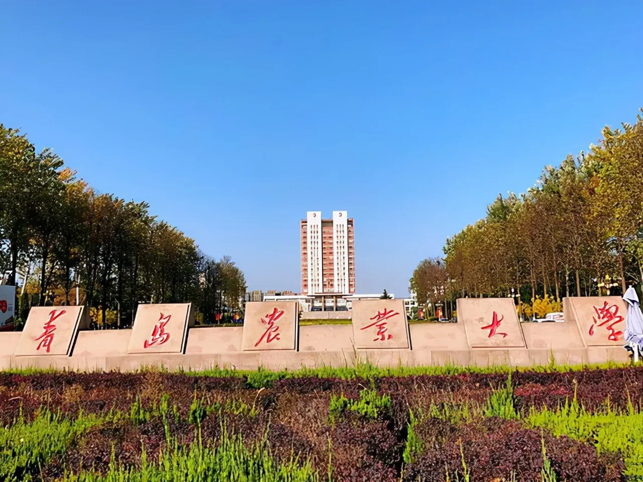 青岛的大学排名一览表 | 青岛高校有哪几所最新排名