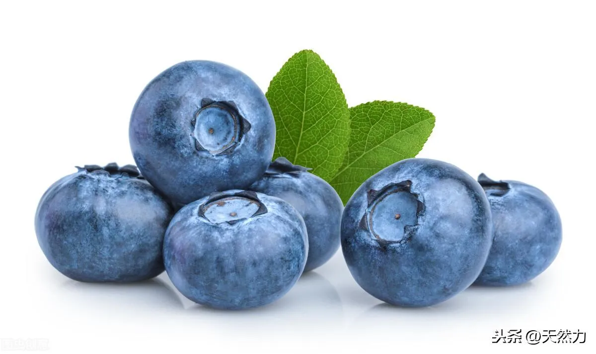 蓝莓怎样保存时间长些不坏 | 蓝莓