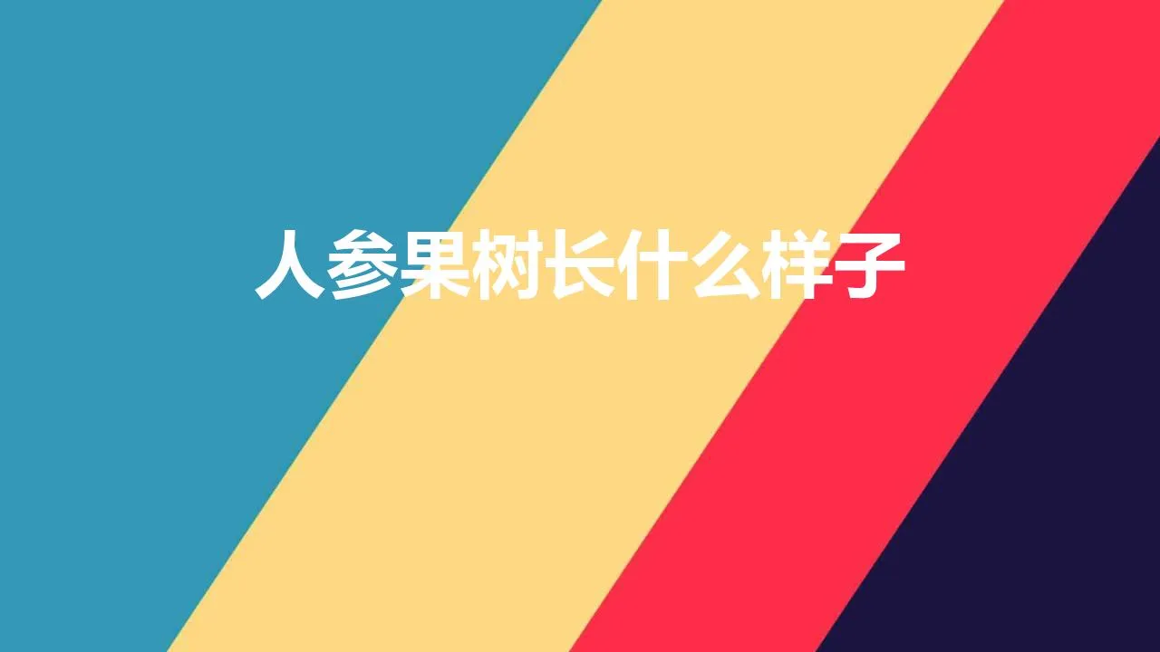 人参果树长什么样子