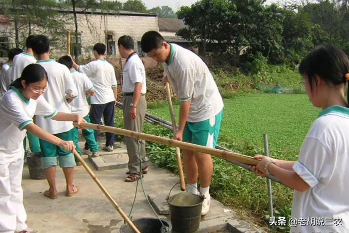 草木灰的主要成分是什么 | 草木灰