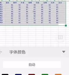 wps设置表格字体颜色 | 在wps表格中更改字体大小颜色