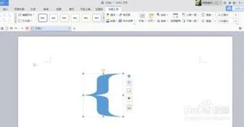 在wps上使用大括号 | WPS打大括号