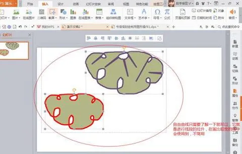 wps做生长曲线 | wps文字制作曲线