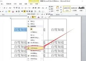 wps使表格文字竖 | wps表格里面文字方向竖着排列