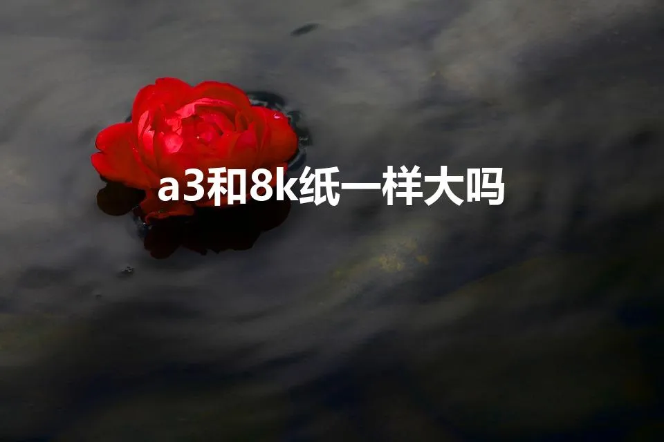 a3和8k纸一样大吗 | 8K纸和A3纸一样大吗