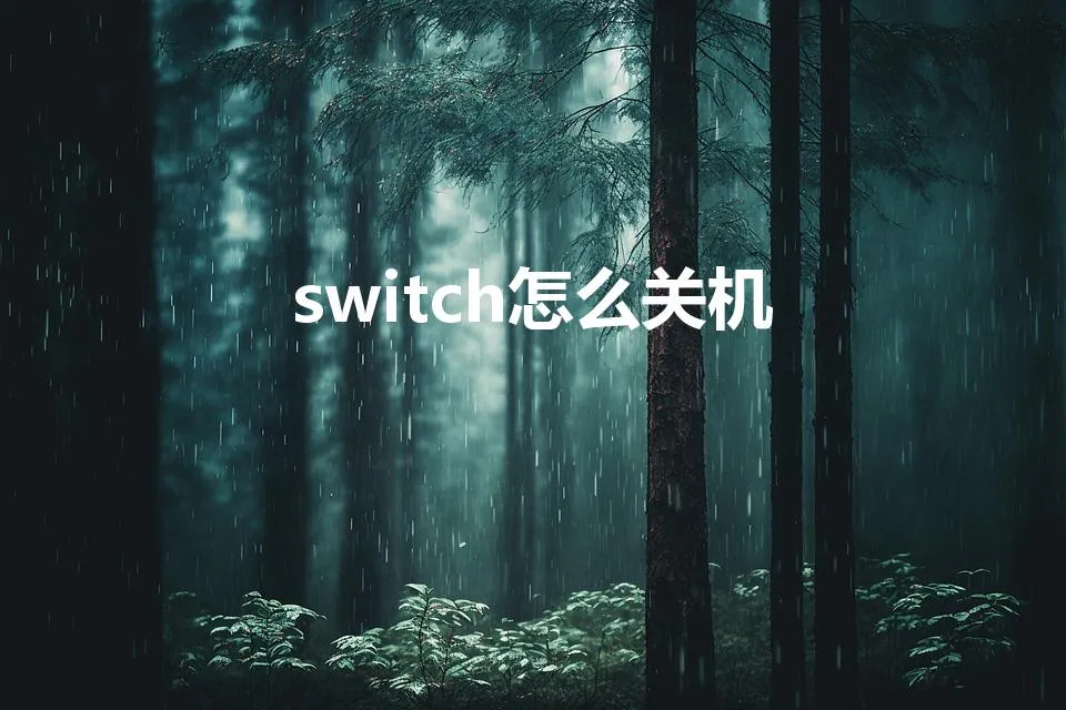 switch怎么关机 | switch 怎么关机