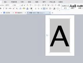 在wps打a4纸大小的字 | 在Wps文档上使用超大字体,比如要用整张A4纸只打印两三个字