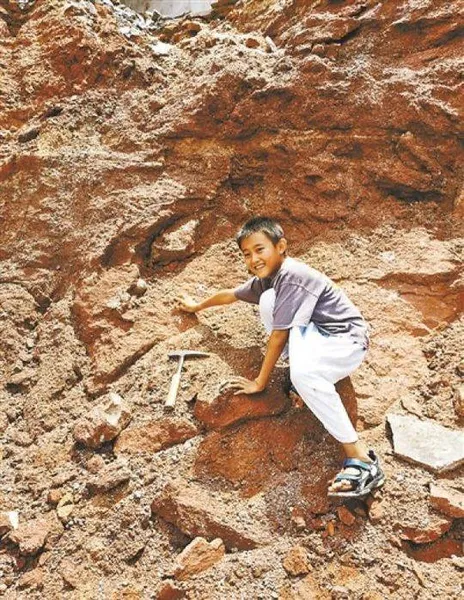 小学生发现六千万年前恐龙蛋:游玩时认出疑似化石