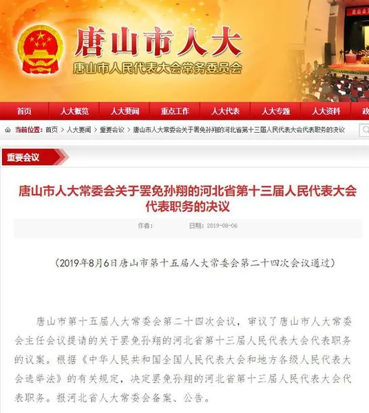 80后百亿富豪双重国籍怎么回事 孙翔双重国籍事件经过