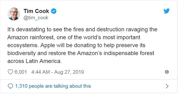 苹果捐款修复雨林 苹果捐款计划库克尚未公开