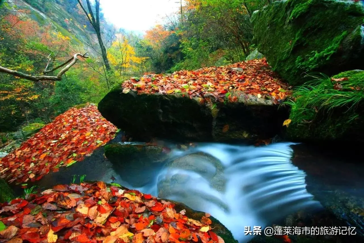 巴中旅游景点推荐 | 四川巴中旅游必去的著名景点排行榜