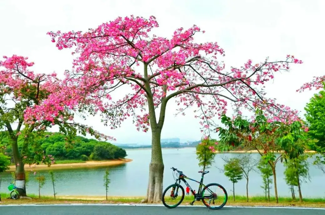 东莞十大免费景区推荐 | 东莞旅游必去的十大免费景点