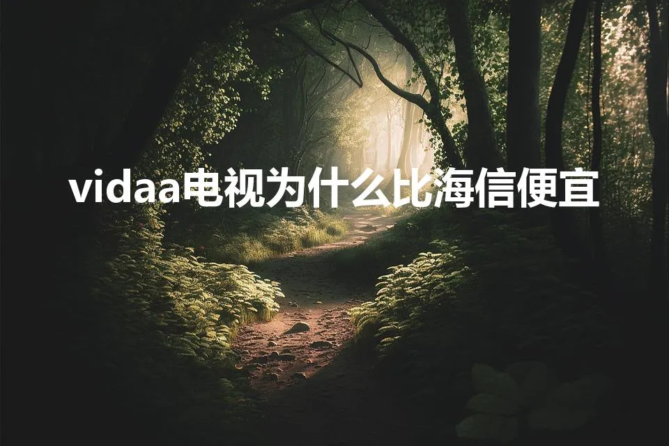 vidaa电视为什么比海信便宜 | 海信vidaa的缺点