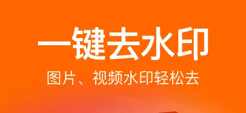 视频去水印软件免费版 能够给视频