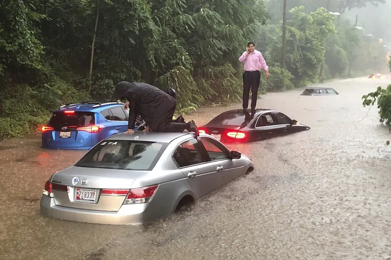 美国大暴雨司机被困在车顶？白宫地下室被水淹？