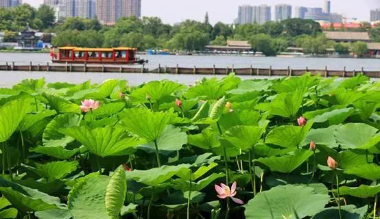 济南景点排行榜前十名 | 免费且好玩的济南十大景点攻略