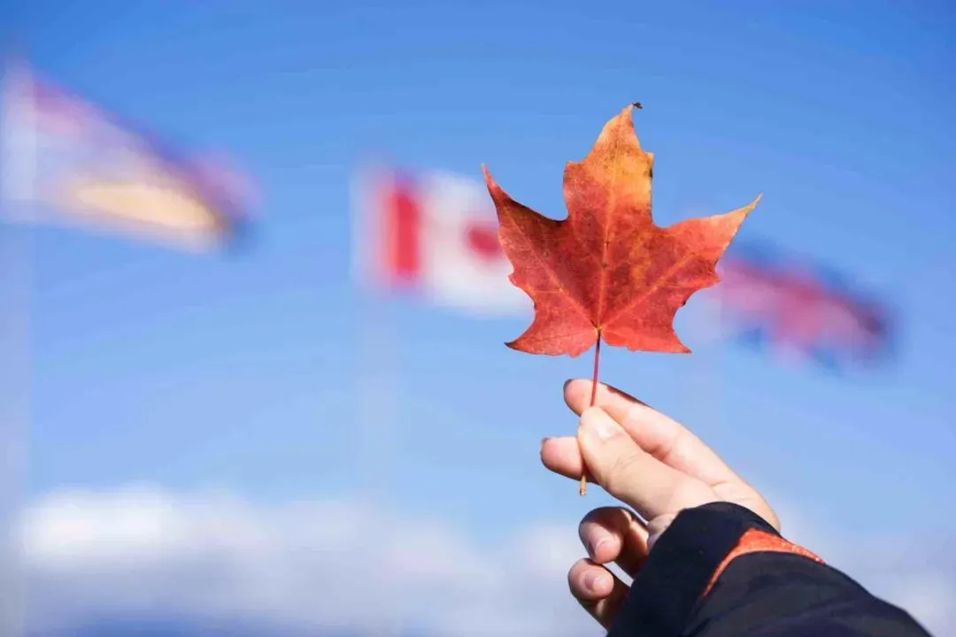 加拿大移民pr是什么意思 | 加拿大移民联邦审核的周期