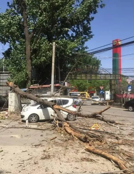 北京大风砸中人 北京大风蓝色预警到什么时候？