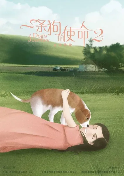  5月最强催泪弹《一条狗的使命2》？萌犬暖人心一部治愈人心情的影视