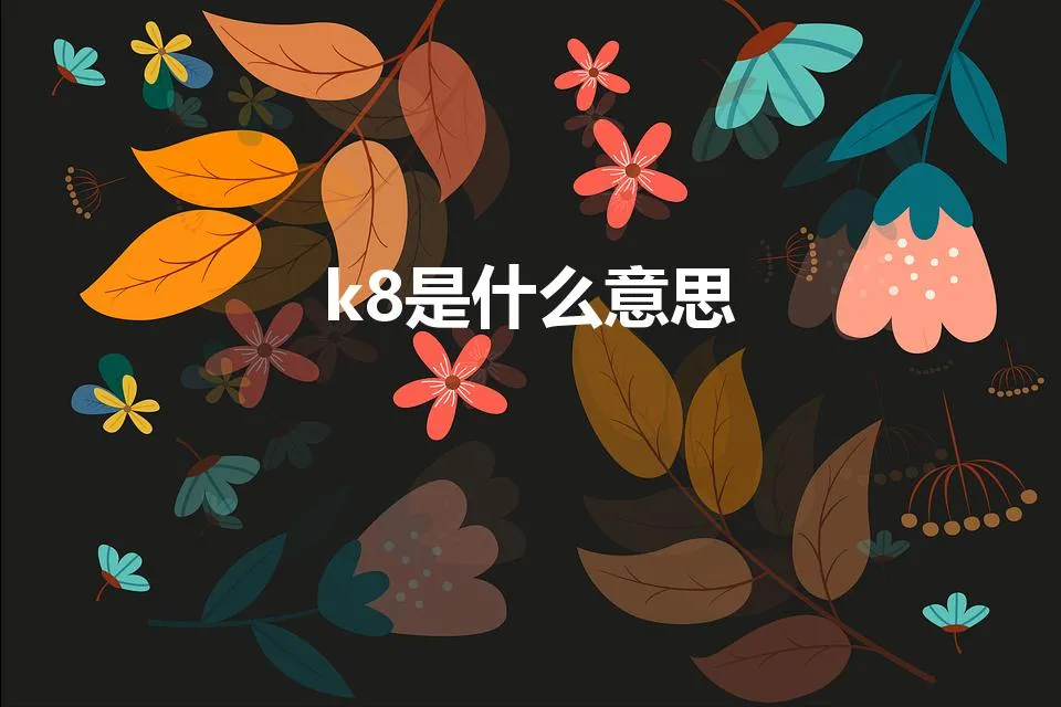 k8是什么意思 | k8是什么意思啊