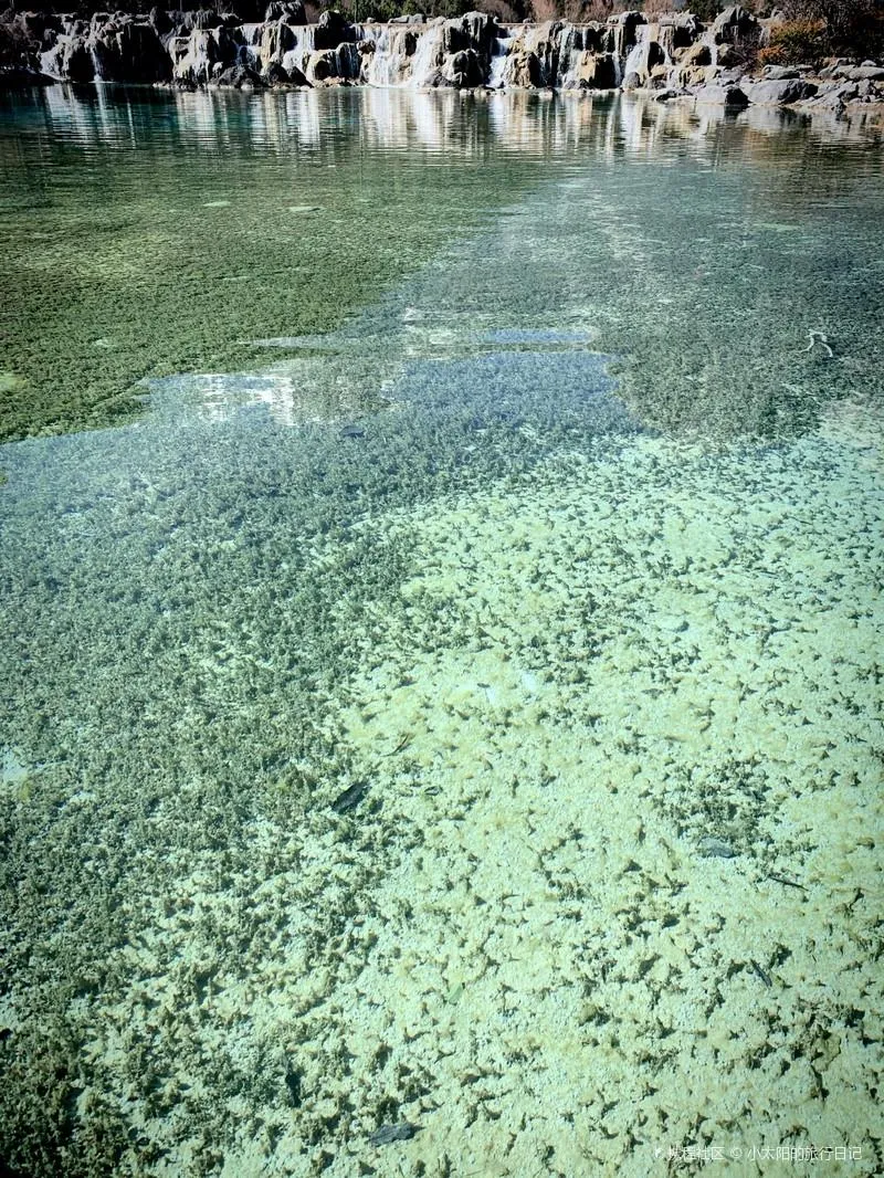 玉龙雪山海拔多少米(玉龙雪山海拔