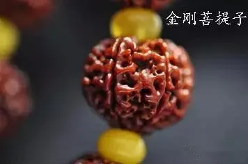 菩提手串有什么寓意(佛珠的菩提子